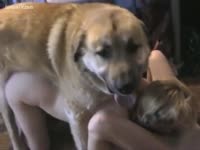 [ Zoo Movie ] Brown animal fucking a doxy